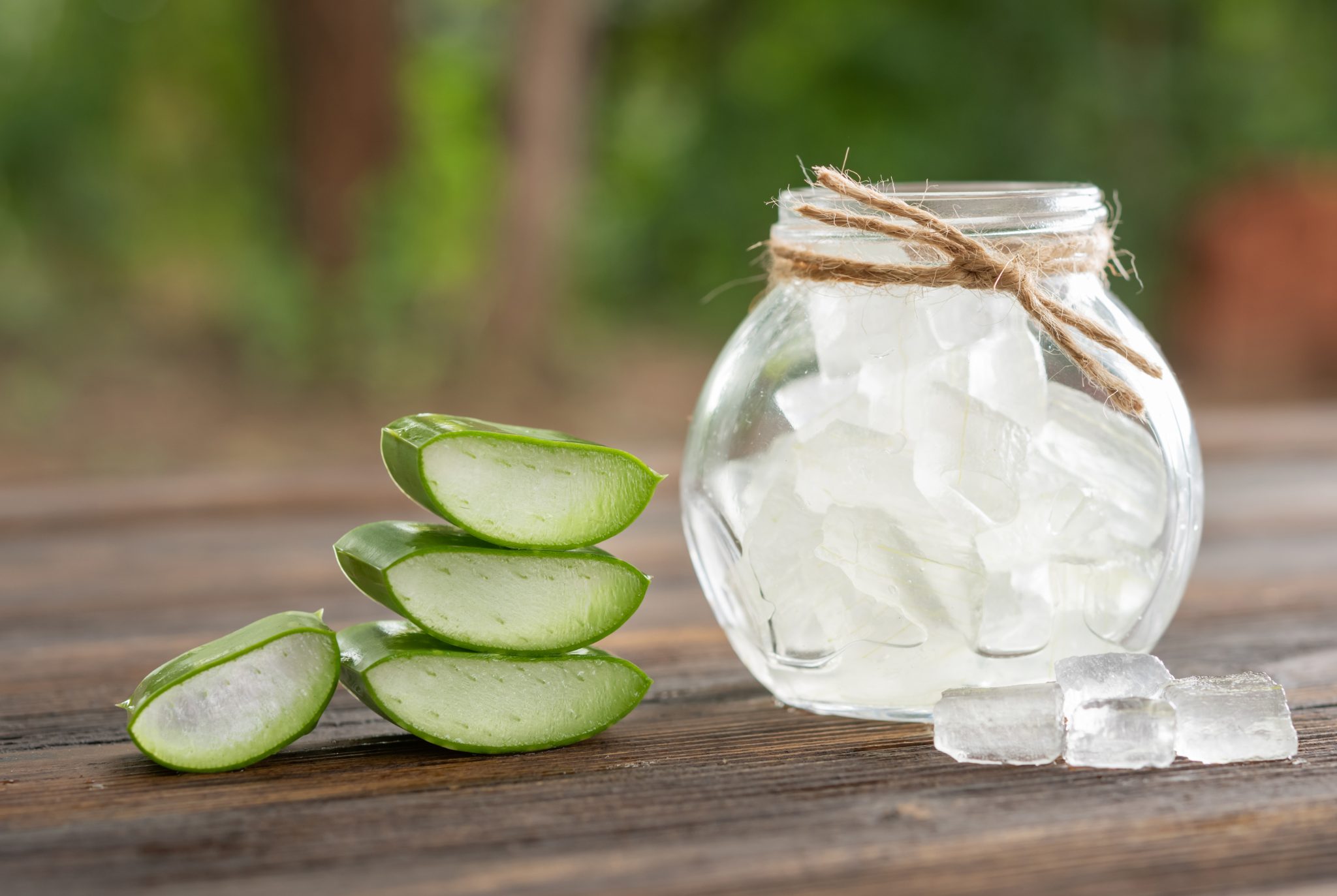 Pianta Aloe Come Coltivarla In Casa Benessence