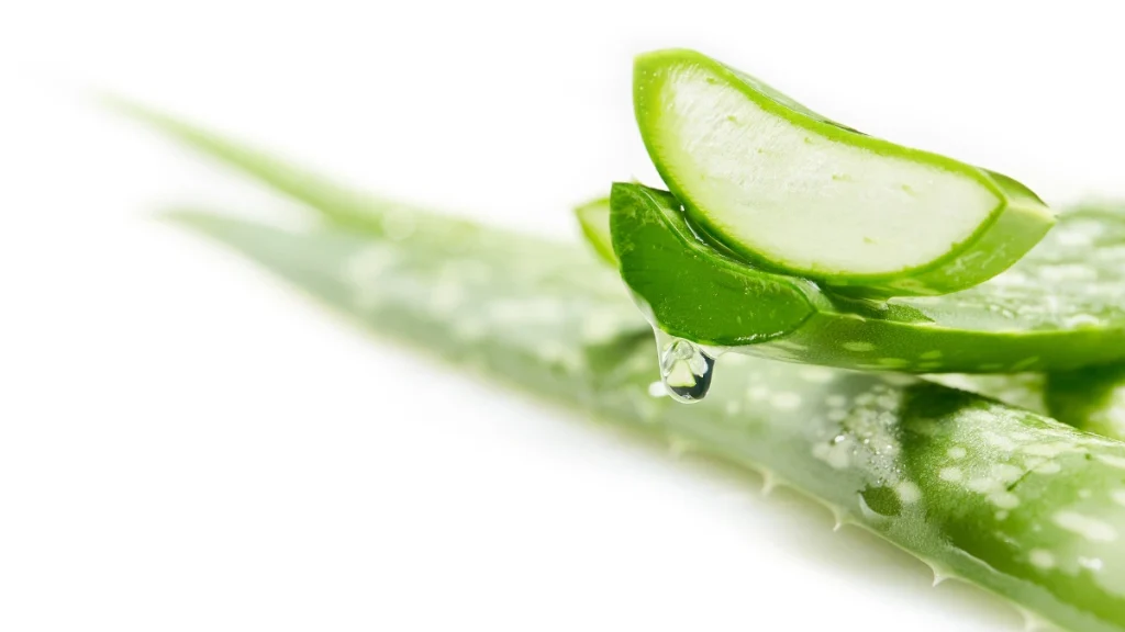 aloe vera gel per gastrite