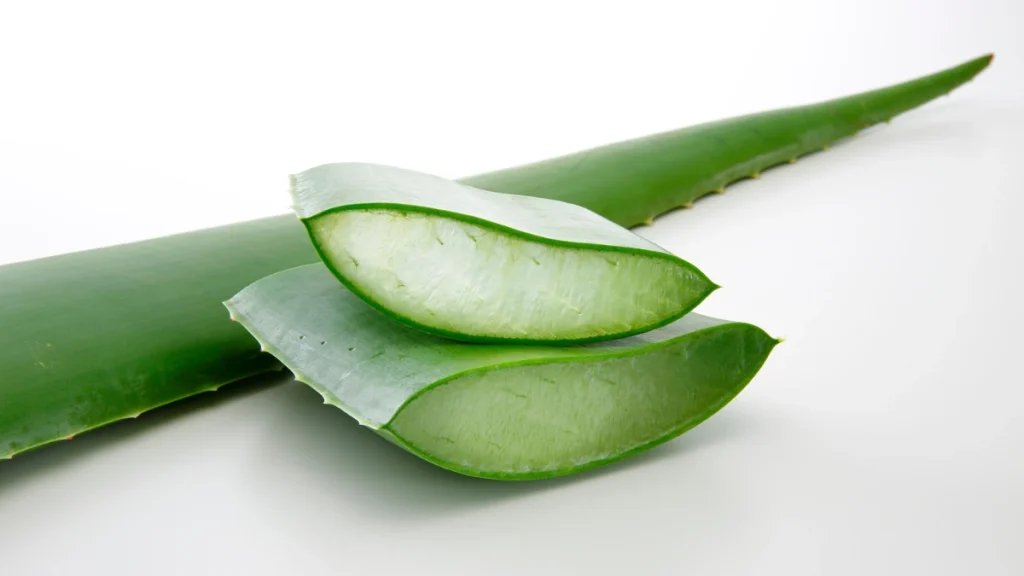 aloe vera e digestione