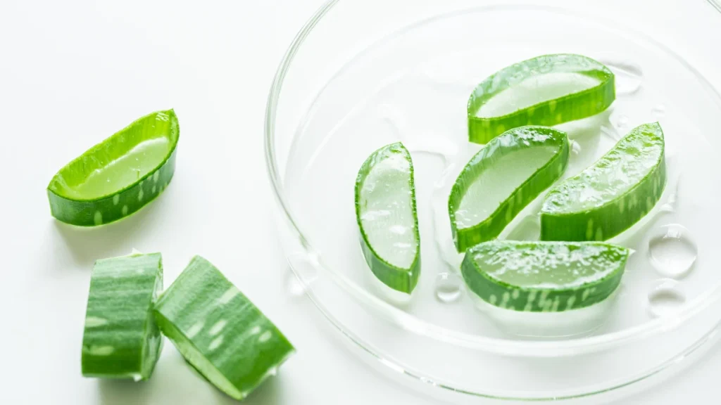 aloe vera pelli sensibili